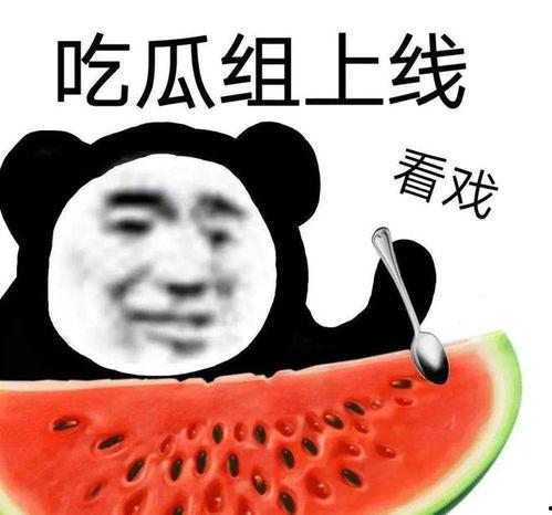 日常吃瓜黑料,吃瓜黑料背后的真相与反思
