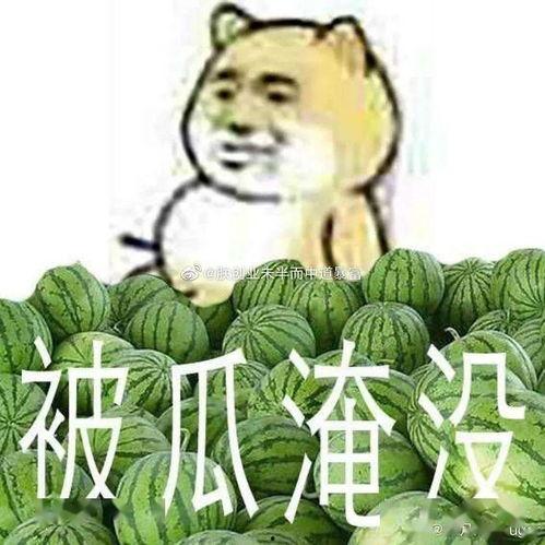 黑瓜吃料正能量官网最新烟台学校,黑瓜吃料正能量官网助力校园文化建设新篇章”