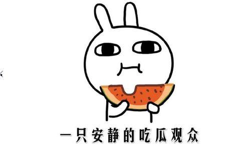 吃瓜黑料泄密,吃瓜黑料背后的真相与影响