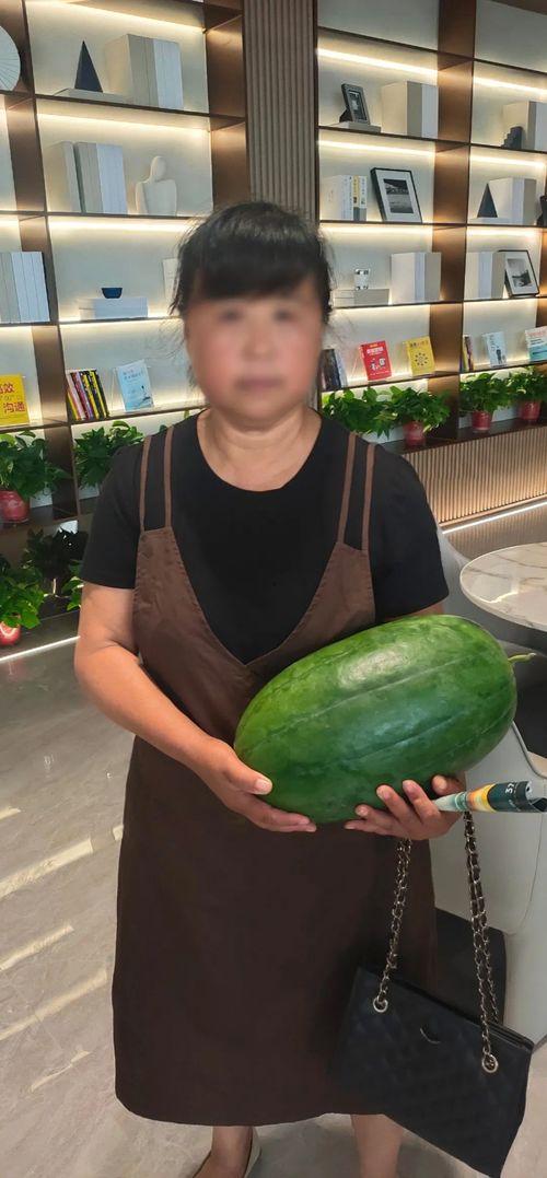 今日吃瓜黑料百科视频,百科视频深度解析