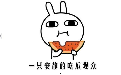 黑料吃瓜啥意思,网络时代下的八卦文化现象